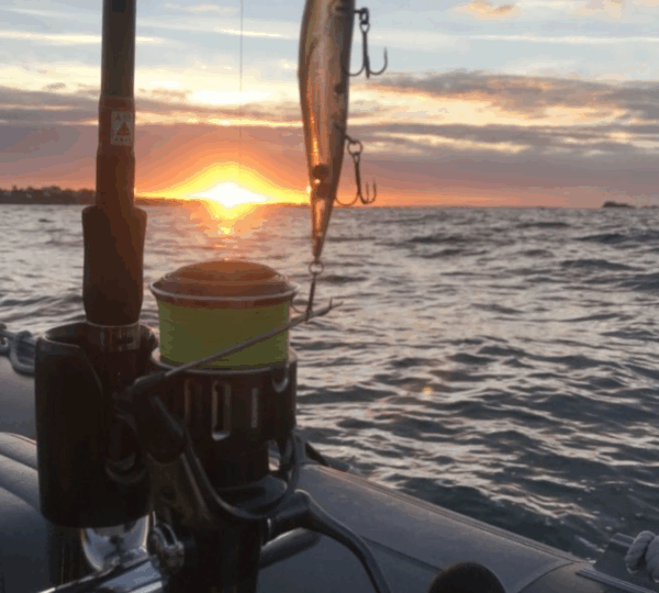 Fish'in Bretagne