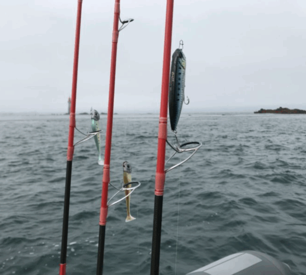 Fish'in Bretagne