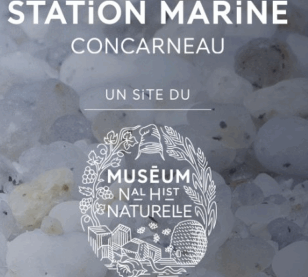 Le Marinarium - Station Marine de Concarneau